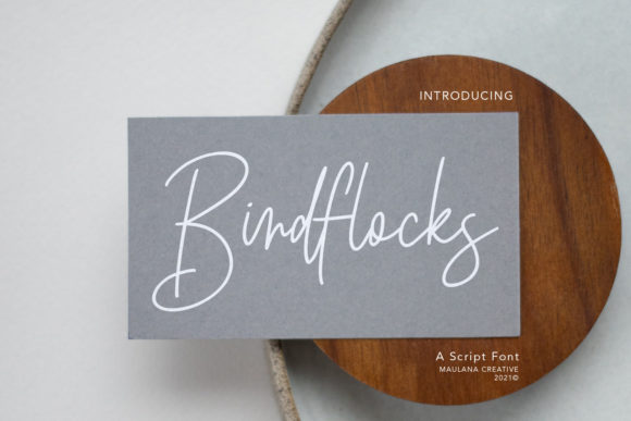 Birdflocks Script: A Modern Calligraphy Font for Elegant Designs