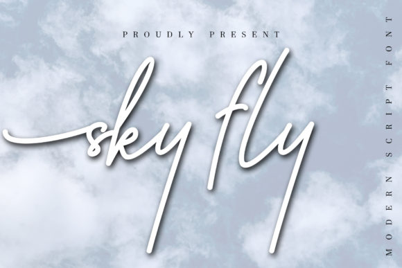 Embrace the Flow: Designing with Sky Fly Script