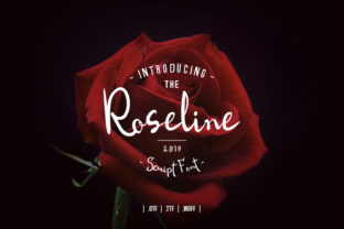 Roseline Script: An Authentic Handwritten Typeface for Modern Design